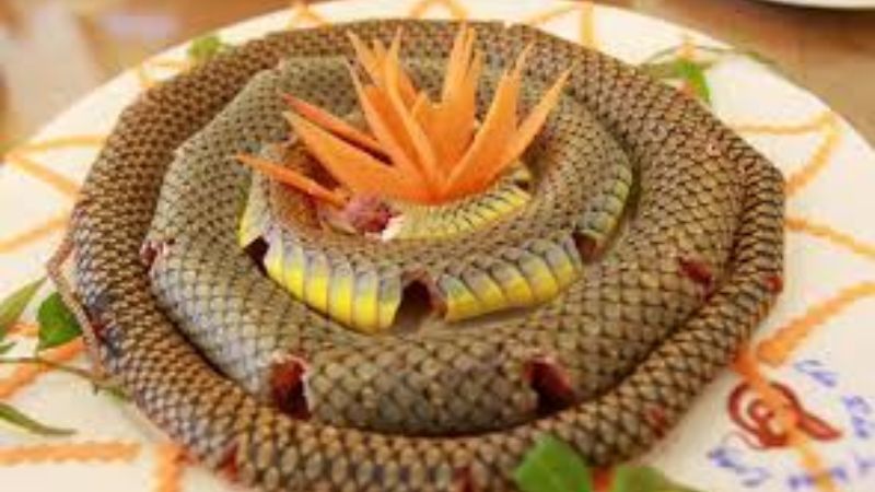 thịt rắn kỵ với món gì