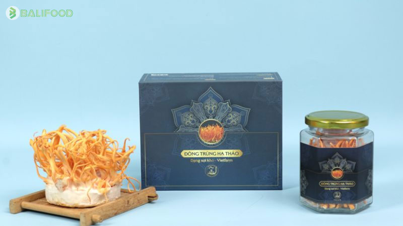 Mua đông trùng hạ thảo ở đâu tốt nhất? TOP 6 gợi ý uy tín nhất 2026