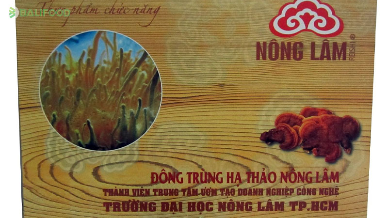 Mua đông trùng hạ thảo ở đâu tốt nhất? TOP 6 gợi ý uy tín nhất 2026