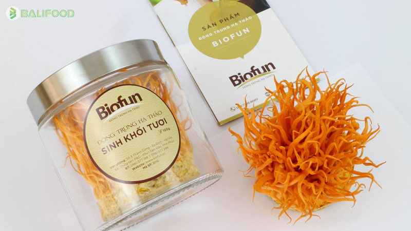 Mua đông trùng hạ thảo ở đâu tốt nhất? TOP 6 gợi ý uy tín nhất 2026