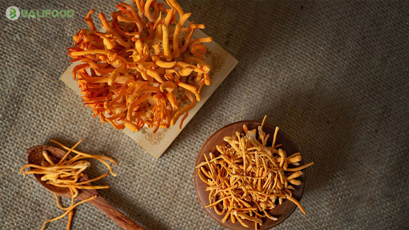 Mua đông trùng hạ thảo ở đâu tốt nhất? TOP 6 gợi ý uy tín nhất 2026