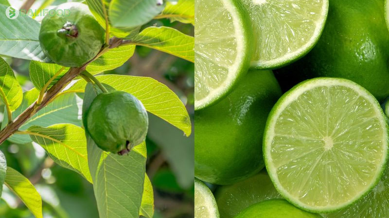 Phương pháp dân gian chữa trị sâu răng bằng lá ổi