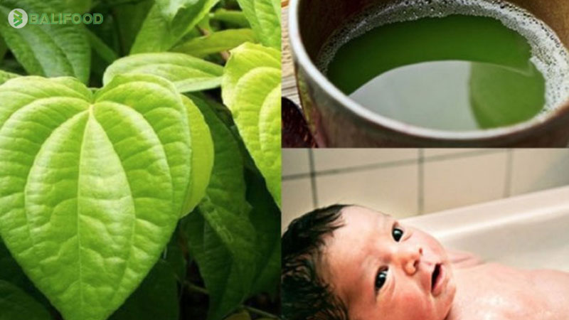 Tổng hợp các loại lá và thảo dược tự nhiên tắm cho bé tốt nhất