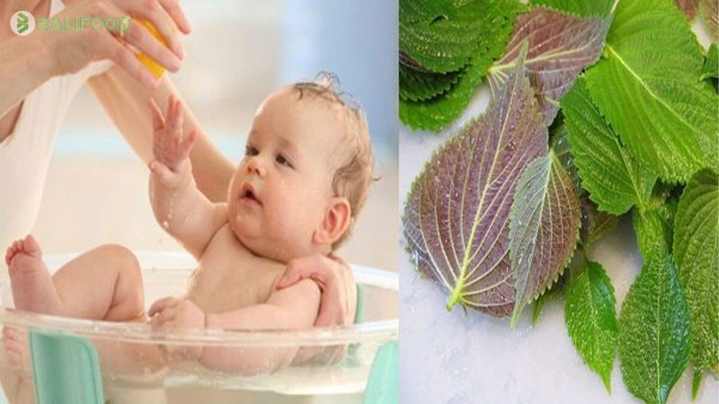 Tổng hợp các loại lá và thảo dược tự nhiên tắm cho bé tốt nhất